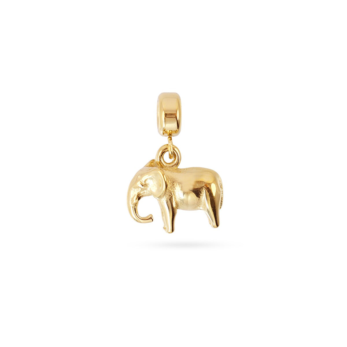 #motivo_elefante